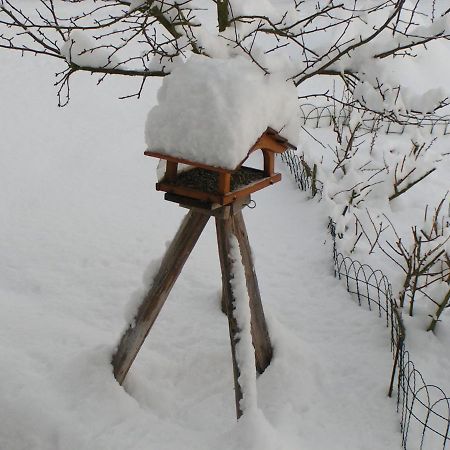 Apartamento Fewo Talula - Sauerland Mit Hund Medebach Exterior foto