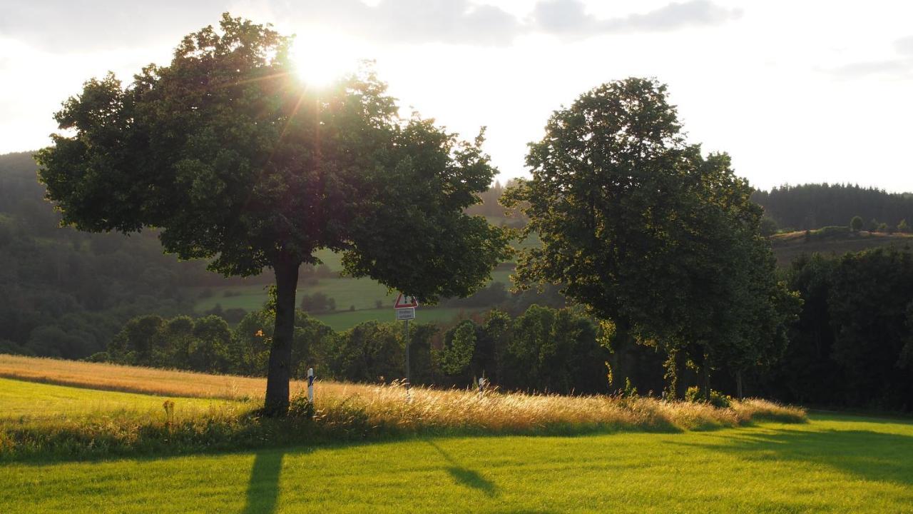 Apartamento Fewo Talula - Sauerland Mit Hund Medebach Exterior foto