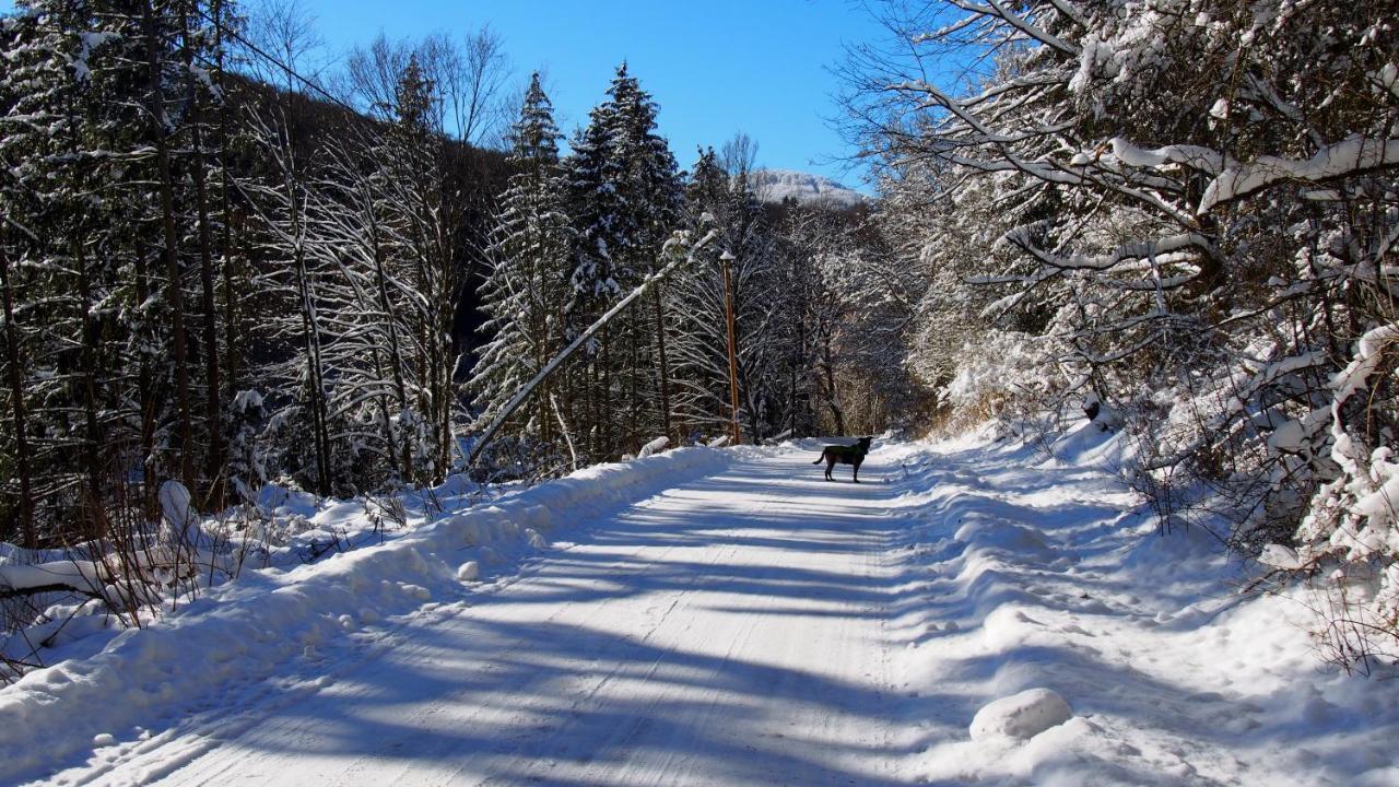 Fewo Talula - Sauerland Mit Hund Medebach Exterior foto