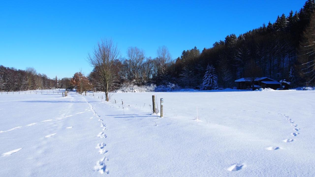 Apartamento Fewo Talula - Sauerland Mit Hund Medebach Exterior foto