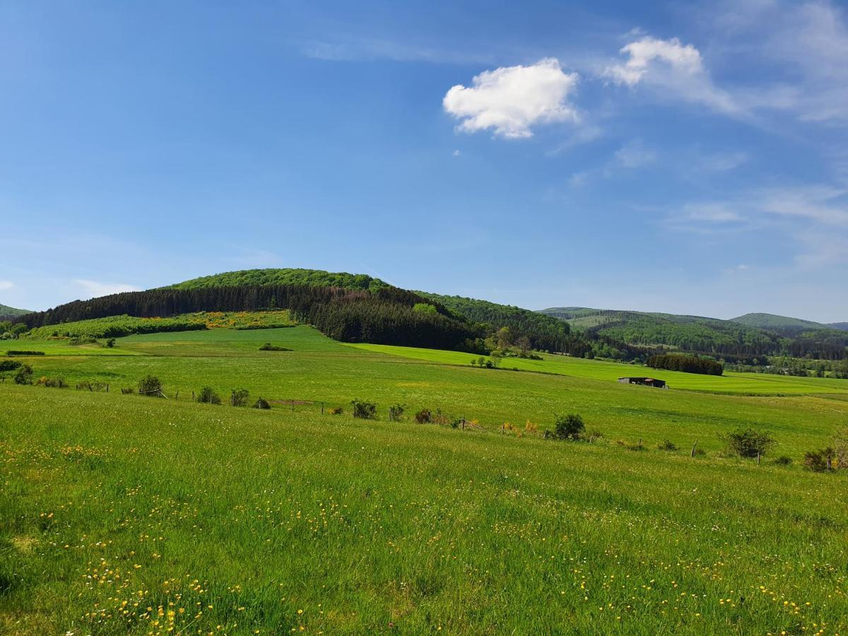 Apartamento Fewo Talula - Sauerland Mit Hund Medebach Exterior foto