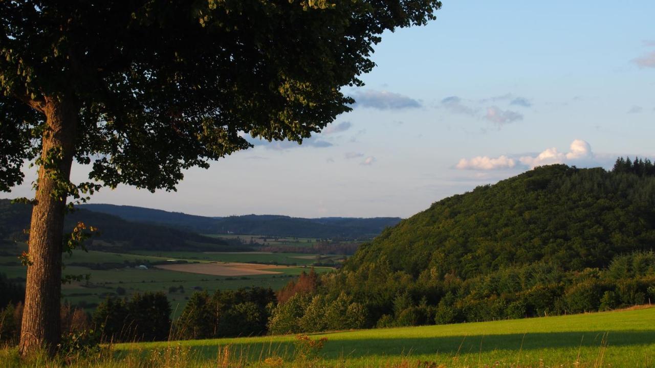 Apartamento Fewo Talula - Sauerland Mit Hund Medebach Exterior foto