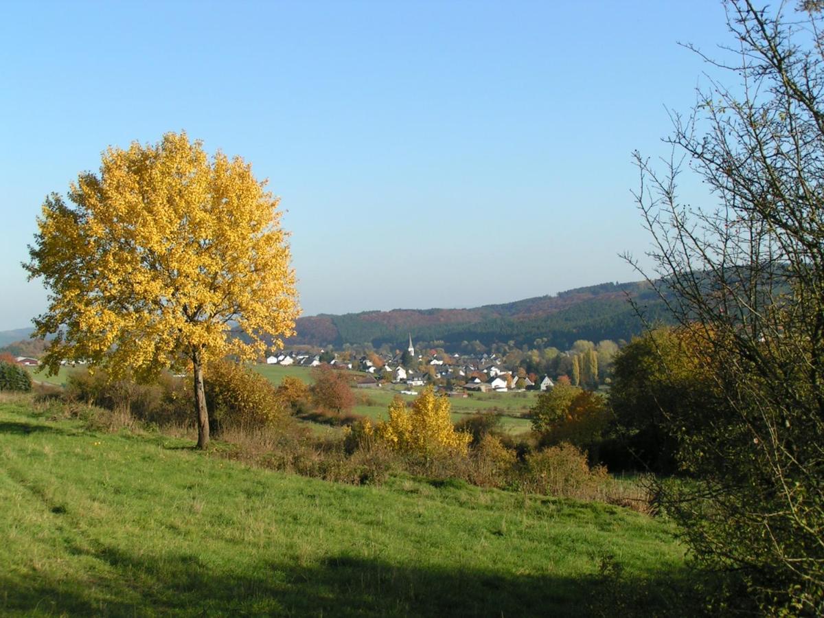 Fewo Talula - Sauerland Mit Hund Medebach Exterior foto