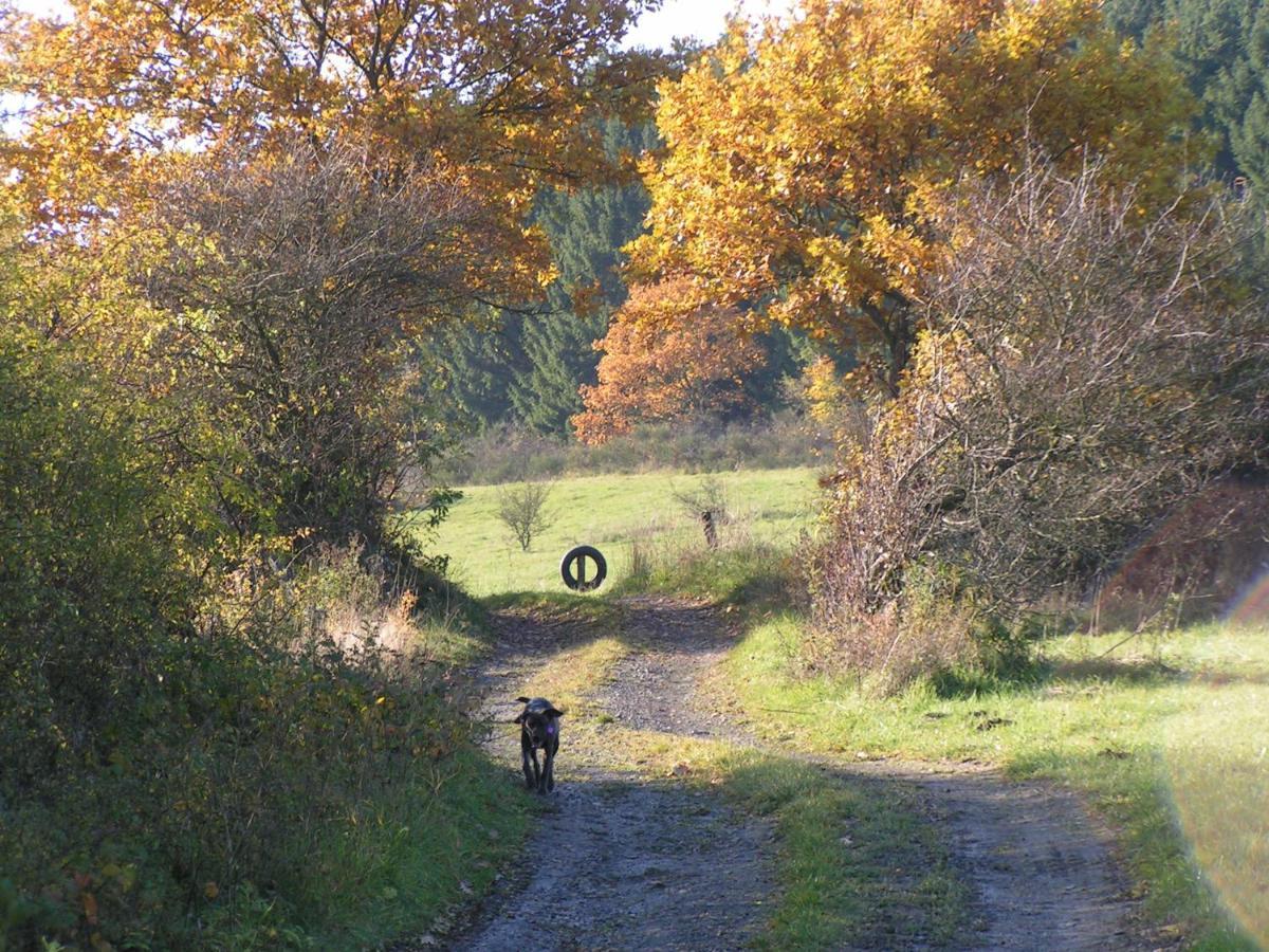 Apartamento Fewo Talula - Sauerland Mit Hund Medebach Exterior foto